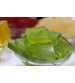 Green Kiwi Fruit Slice